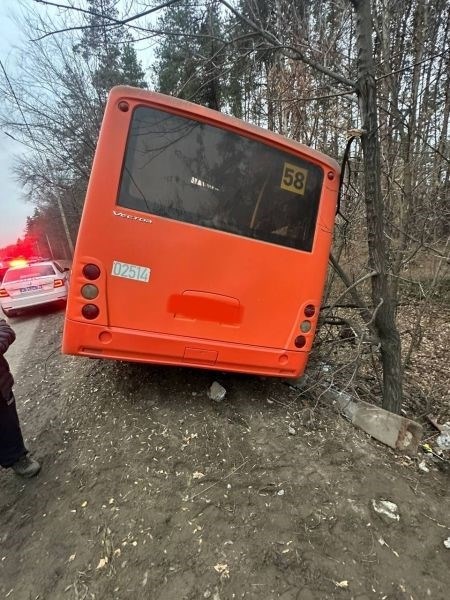 Стали известны подробности ДТП с автобусом на дороге в Воронеже.