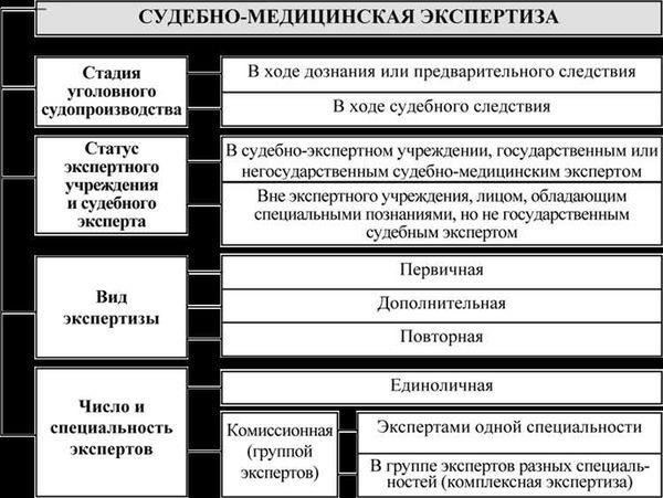 Экспертиза может включать в себя различные виды исследований в зависимости от конкретного случая. Это может быть токсикологический анализ, антропологические исследования и другие медико-криминалистические экспертизы. Все исследования проводятся под контролем квалифицированных экспертов в лабораториях, оснащенных необходимым оборудованием. В Москве экспертизы часто проводят такие учреждения, как Центральное бюро судебно-медицинской экспертизы, являющееся ключевым игроком в этой области.