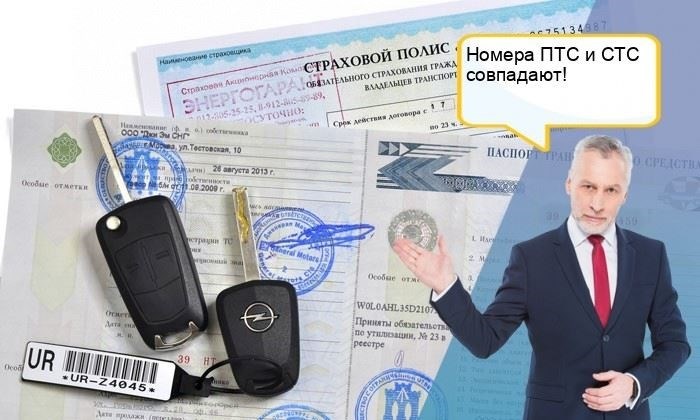 В каких ситуациях может потребоваться номер документа