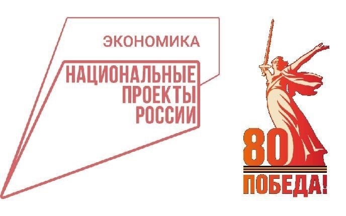 Шаги по выявлению ошибок или просчетов в решении судебного пристава-исполнителя