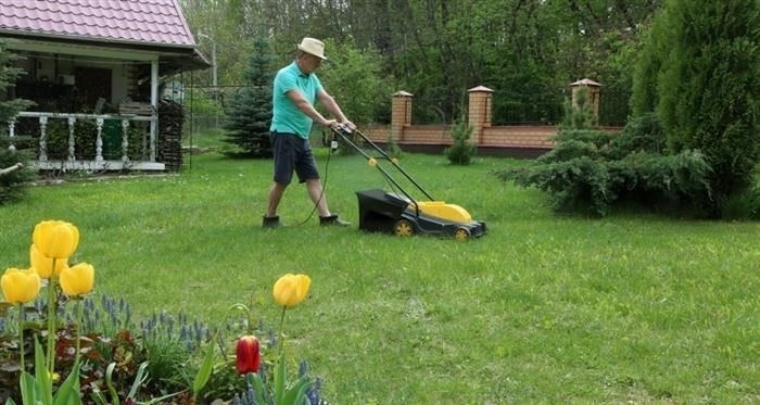 Необходимые документы для продажи автомобиля