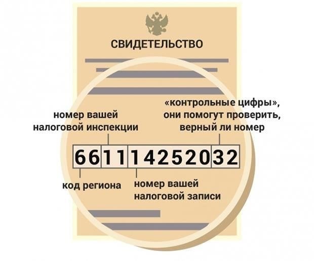 Как проверить финансовые обязательства по идентификационному номеру налогоплательщика (ИНН)