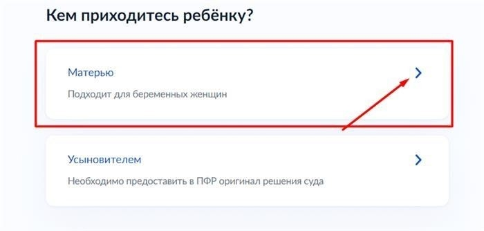 Кто имеет право подавать заявки на поддержку BiR через ГосУслуги