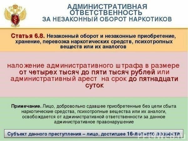 Ключевая законодательная база, определяющая административные и уголовные нарушения