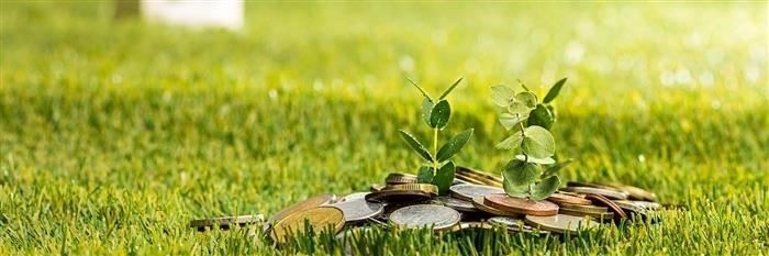 При погашении кредита следите за своевременными ежемесячными платежами, чтобы избежать штрафов или риска обращения взыскания. Понимание того, насколько заложенный участок соответствует критериям банка, будет способствовать беспрепятственному одобрению и получению средств. Проверка нескольких кредиторов позволит выбрать наиболее выгодные и доступные предложения по финансированию без традиционного подтверждения дохода.