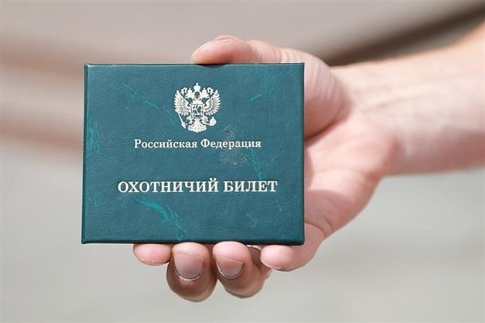 Разрешение, Путевка, Лицензия. Рассказываю, в чем разница для охотника