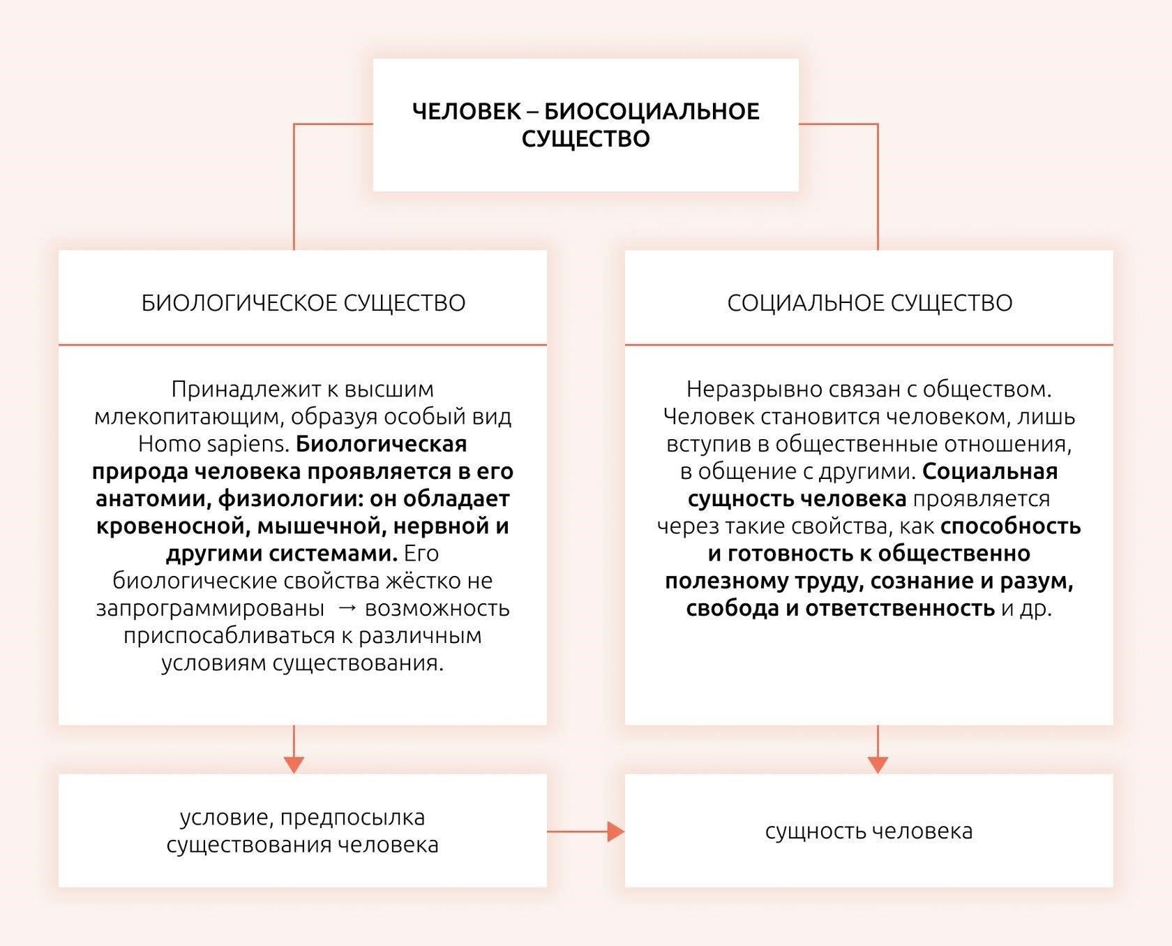 Общение и социальные возможности