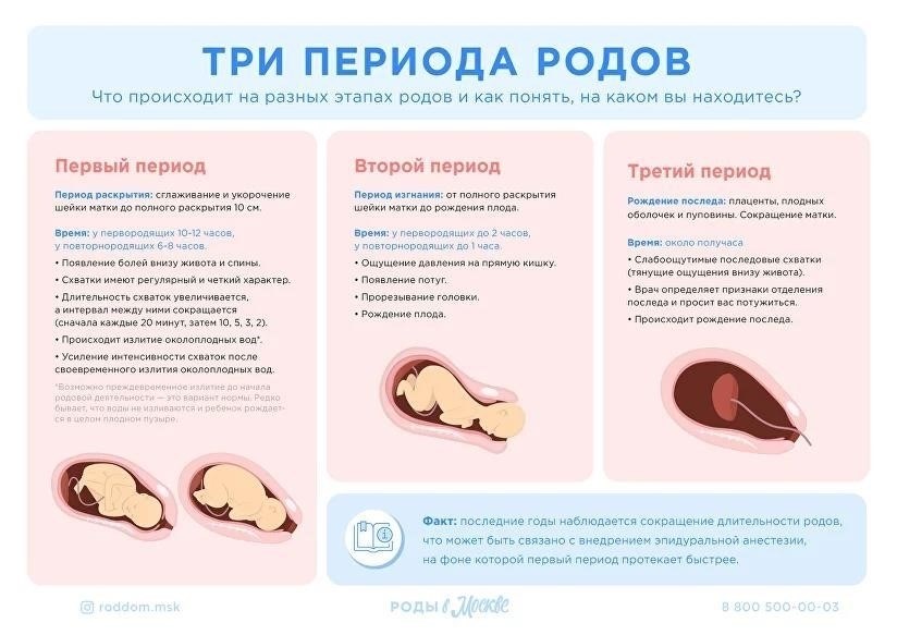 Определение четких сроков