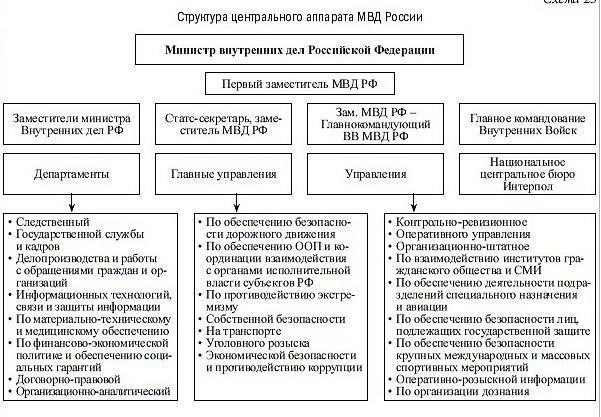 Основные обязанности заместителя в Министерстве внутренних дел