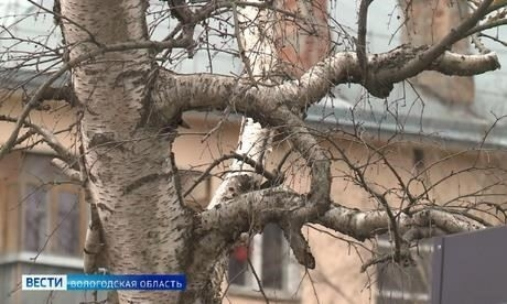 Под Вологдой из колодца извлекли тело пожилого человека