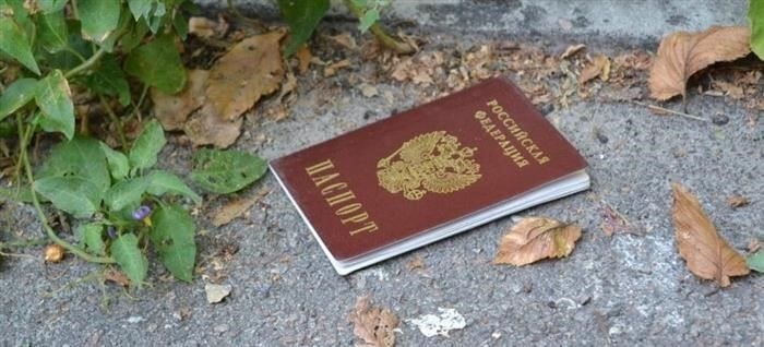 Трудоустройство
