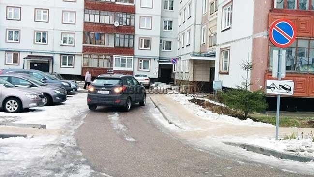 Повреждение клумб, деревьев и кустарников
