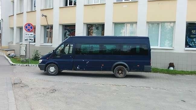 Ремонт и мойка автомобилей рядом с вашим домом