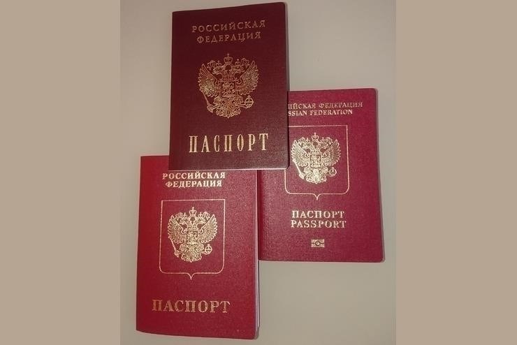 Привилегии, предоставляемые гражданам Украины при получении российского гражданства