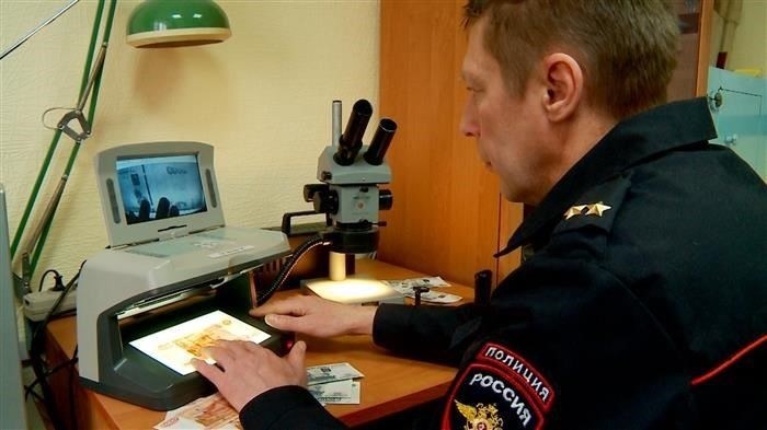 Специализации в профессии судебного эксперта