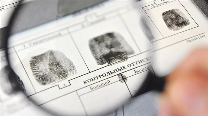 Что нужно сдавать на криминалиста