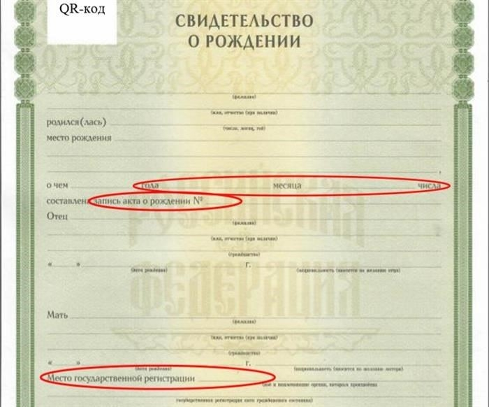 Какие данные из свидетельств о рождении детей нужно указывать в заявлениях на новые выплаты. Наглядно