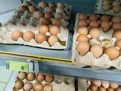 Доступ к отчетам о происшествиях и пресс-релизам