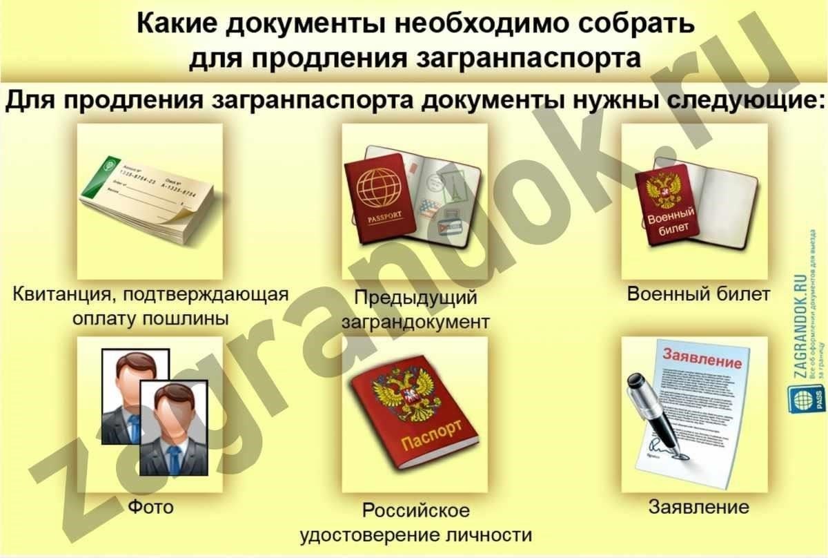 Соберите необходимые документы для продления регистрации