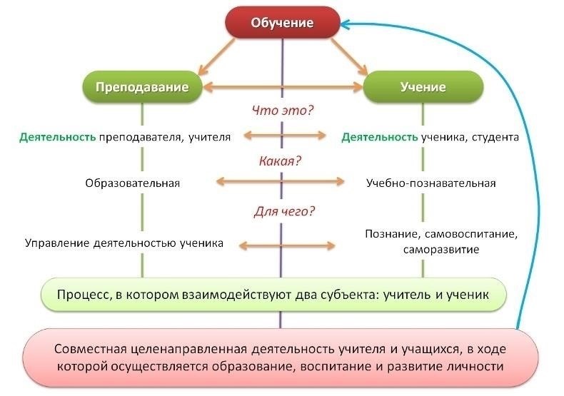 Содержание и процедуры обучения