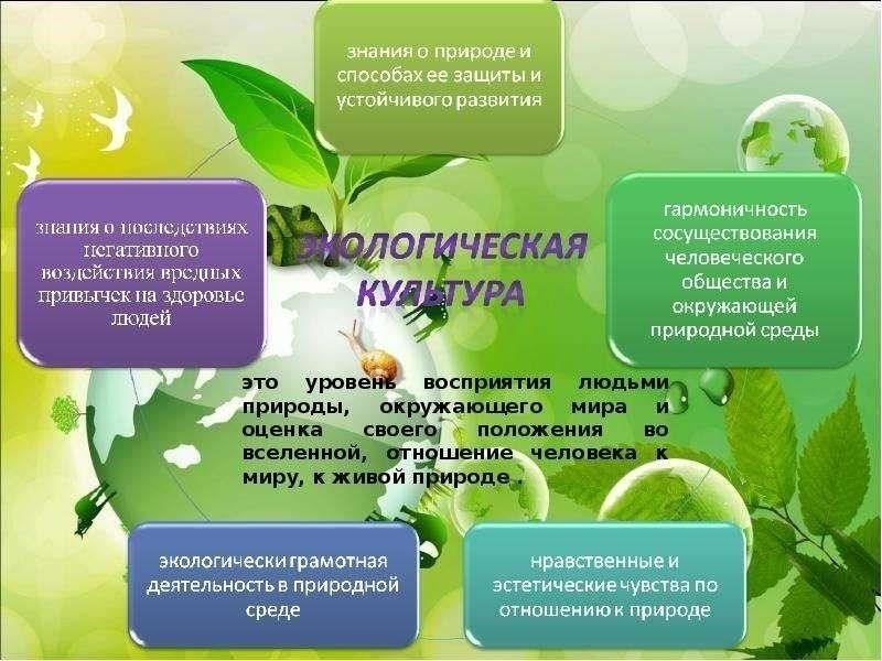 Знакомство с природой и экологическая грамотность